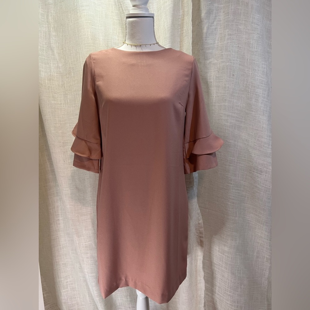 Banana Republic - Frill Sleeve Shift Dress - 6 - NWT